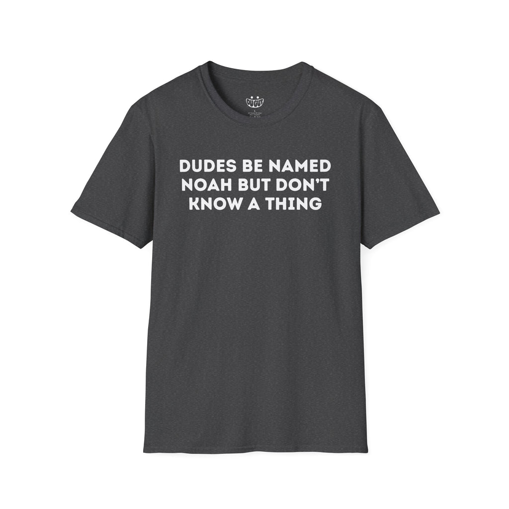 Dudes Named Noah funny t-shirt in dark heather by Du Gut