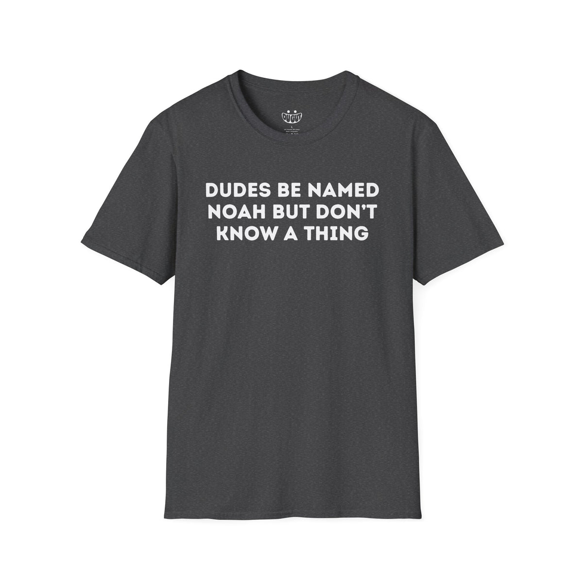 Dudes Named Noah funny t-shirt in dark heather by Du Gut