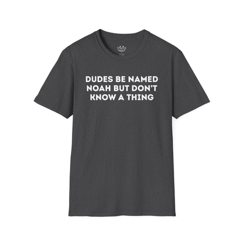 Dudes Named Noah funny t-shirt in dark heather by Du Gut
