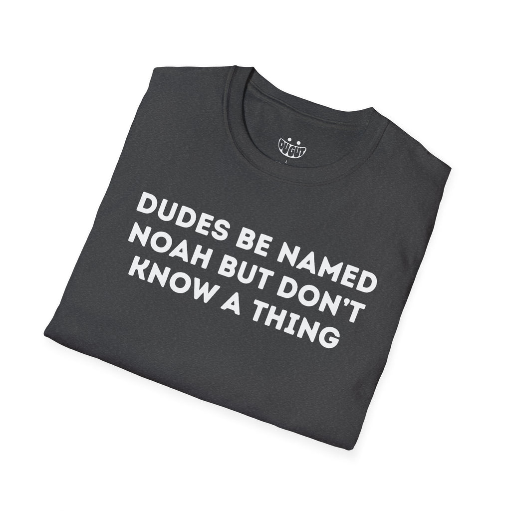 Dudes Named Noah funny t-shirt in dark heather by Du Gut